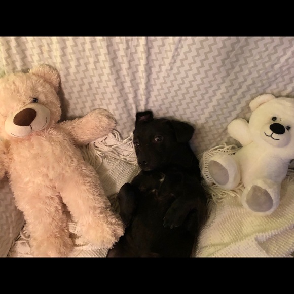 Shop in the Name of Love - Picture 7 of 7